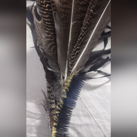 Unique hair accessories. From exotic pheasants